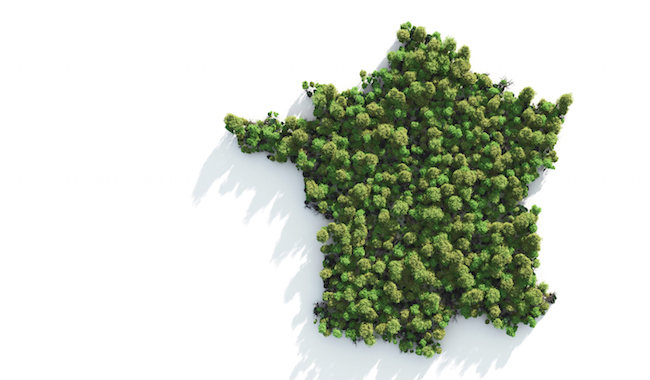 Carte France verte Carte France verte